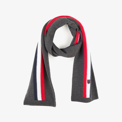 Dark Grey Scarf With Tricolour Stripe_H23ACTEC0004_GRF7_01