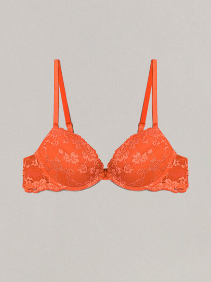 Primula Color Push Up Bra_IPUD163003_161_06