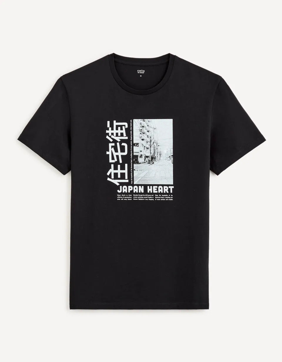 100% Cotton Round Neck T-Shirt - Black - 03